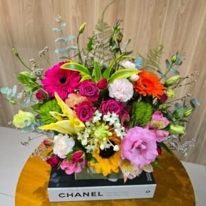 Box Colorfull P